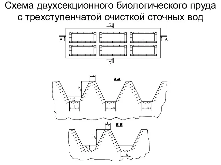 Схема двухсекционного биологического пруда с трехступенчатой очисткой сточных вод