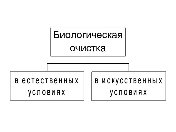 Биологическая очистка