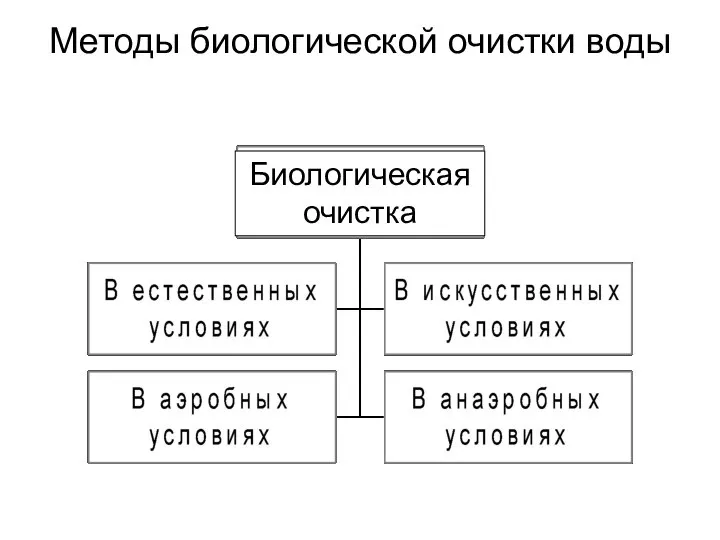 Методы биологической очистки воды Биологическая очистка