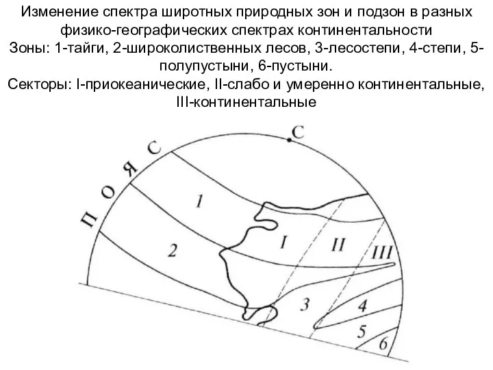 Изменение спектра широтных природных зон и подзон в разных физико-географических спектрах