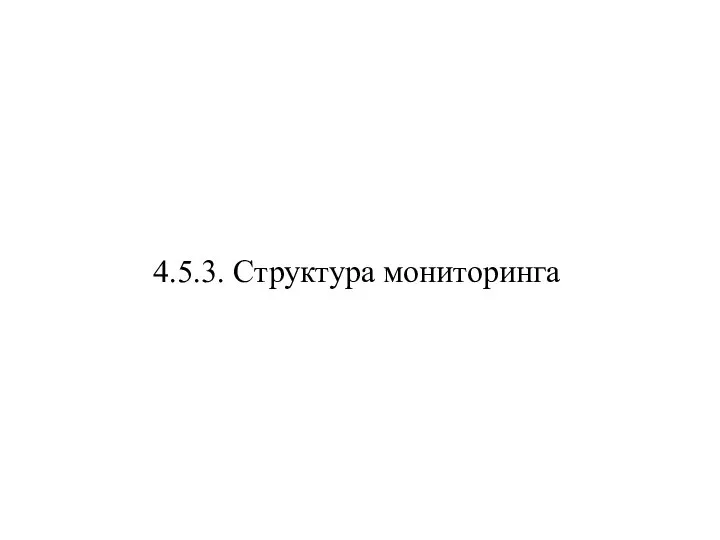 4.5.3. Структура мониторинга