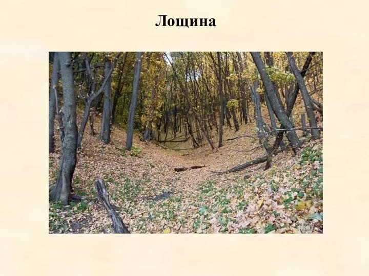 Лощина