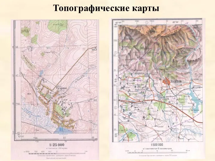 Топографические карты