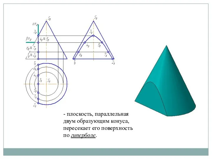 - плоскость, параллельная двум образующим конуса, пересекает его поверхность по гиперболе.