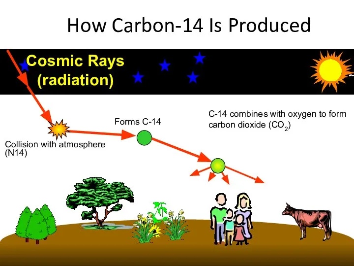 How Carbon-14 Is Produced Cosmic Rays (radiation) Collision with atmosphere (N14)