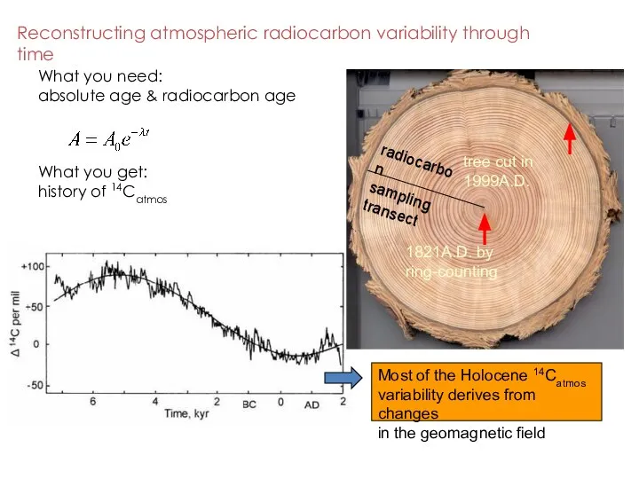 Reconstructing atmospheric radiocarbon variability through time 1821A.D. by ring-counting tree cut