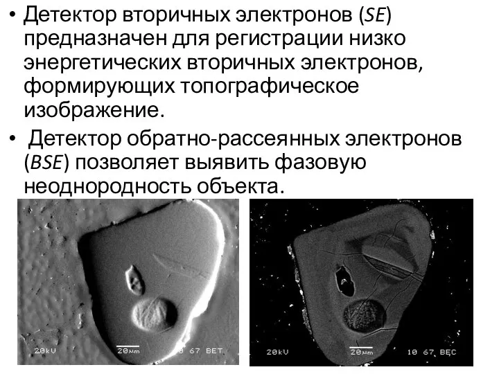 Детектор вторичных электронов (SE) предназначен для регистрации низко энергетических вторичных электронов,