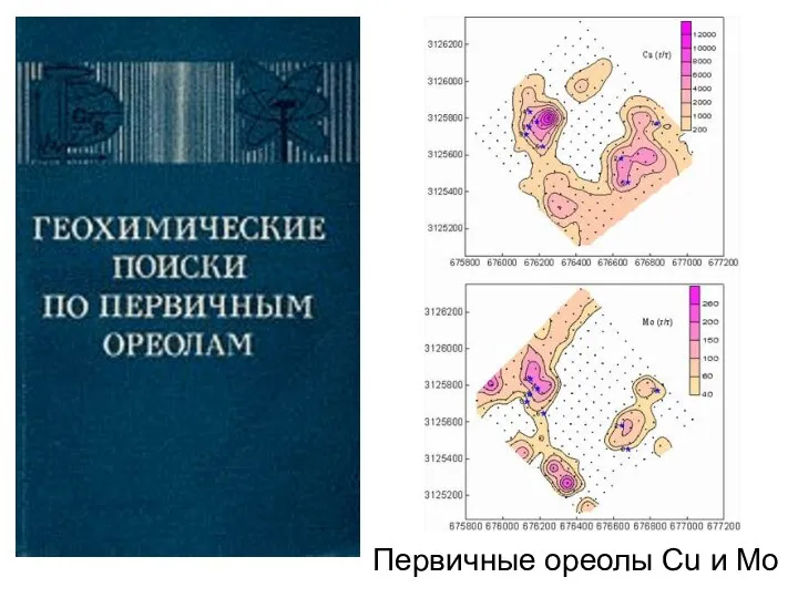 Первичные ореолы Cu и Mo