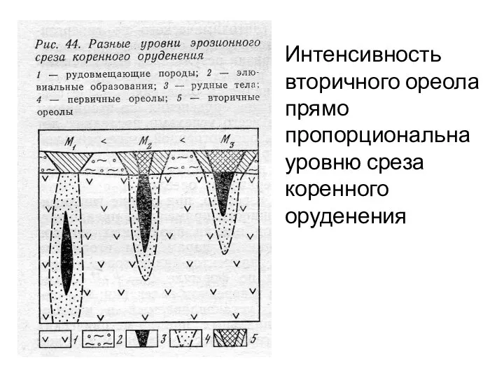 Интенсивность вторичного ореола прямо пропорциональна уровню среза коренного оруденения