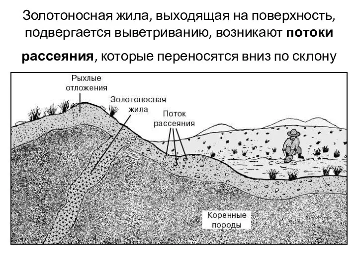 Золотоносная жила, выходящая на поверхность, подвергается выветриванию, возникают потоки рассеяния, которые переносятся вниз по склону