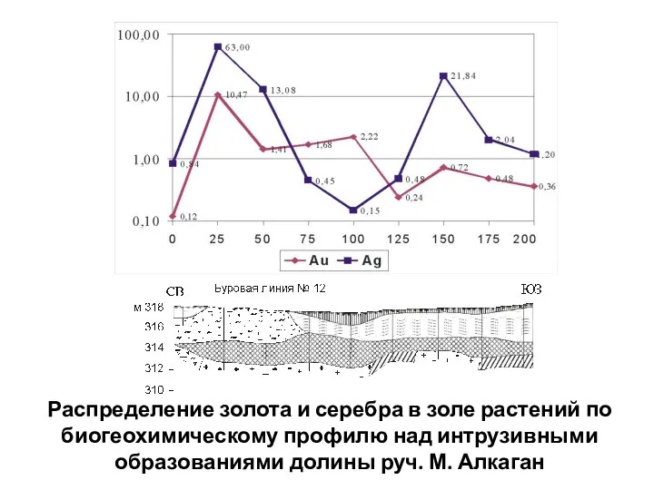 Распределение золота и серебра в золе растений по биогеохимическому профилю над