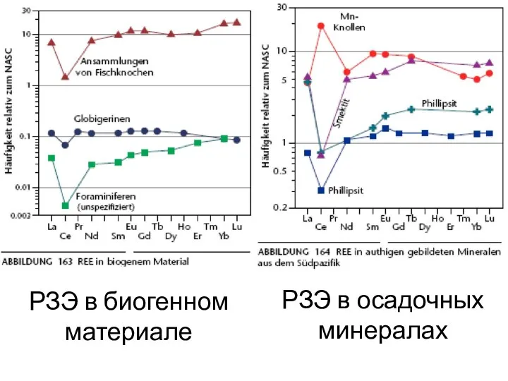 РЗЭ в биогенном материале РЗЭ в осадочных минералах