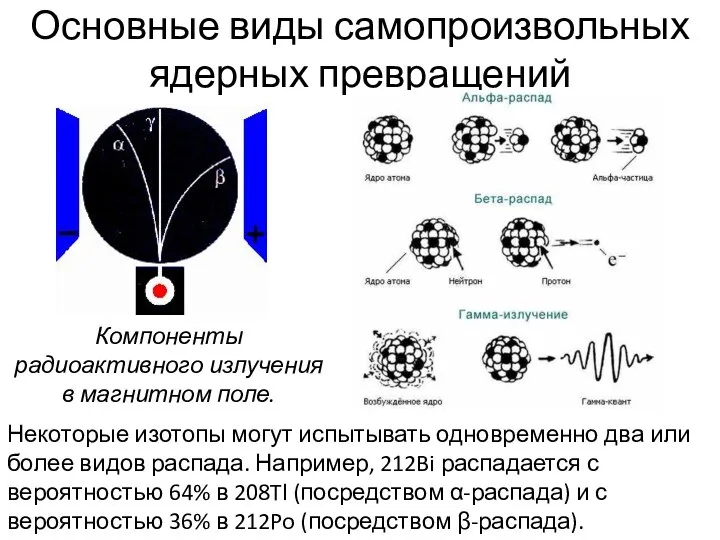 Компоненты радиоактивного излучения в магнитном поле. Основные виды самопроизвольных ядерных превращений