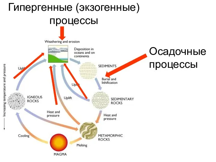 Гипергенные (экзогенные) процессы Осадочные процессы