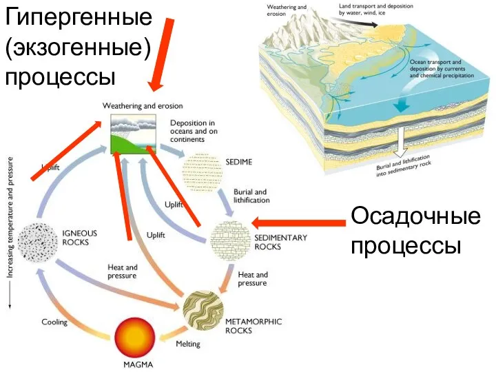 Гипергенные (экзогенные) процессы Осадочные процессы