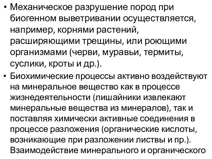 Механическое разрушение пород при биогенном выветривании осуществляется, например, корнями растений, расширяющими