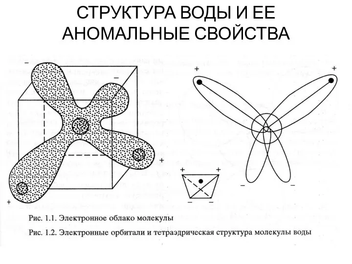 СТРУКТУРА ВОДЫ И ЕЕ АНОМАЛЬНЫЕ СВОЙСТВА