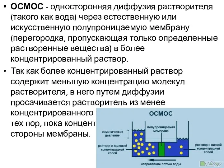 ОСМОС - односторонняя диффузия растворителя (такого как вода) через естественную или