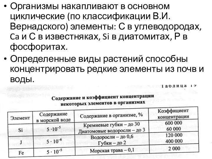 Организмы накапливают в основном циклические (по классификации В.И.Вернадского) элементы: С в