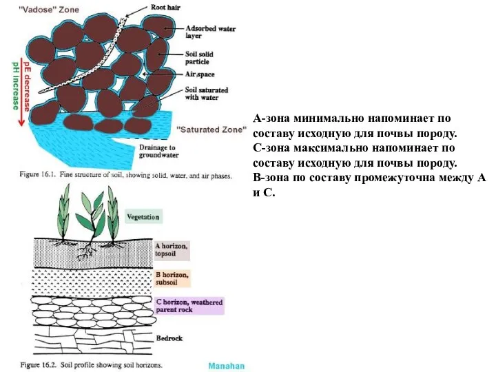 A-зона минимально напоминает по составу исходную для почвы породу. C-зона максимально