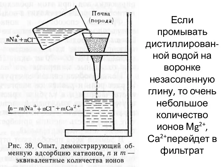 Если промывать дистиллирован-ной водой на воронке незасоленную глину, то очень небольшое
