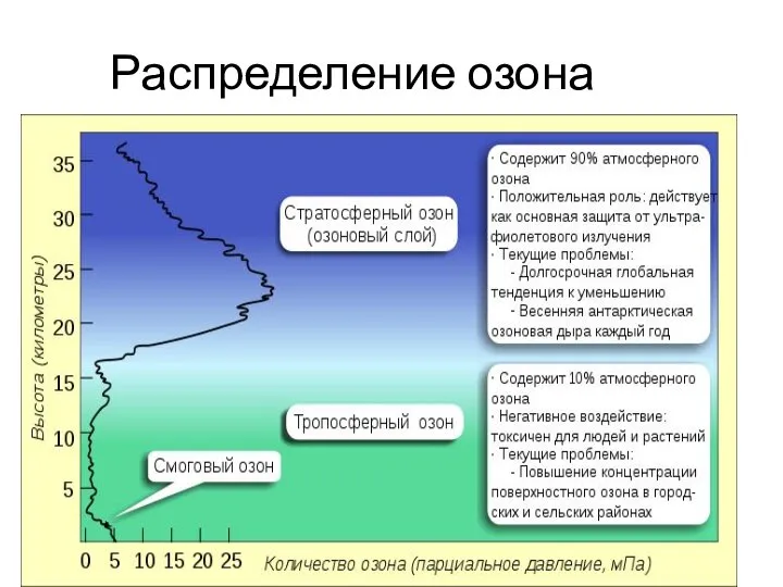 Распределение озона