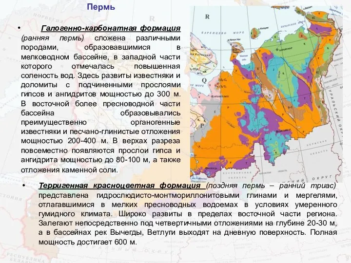 Пермь Галогенно-карбонатная формация (ранняя пермь) сложена различными породами, образовавшимися в мелководном