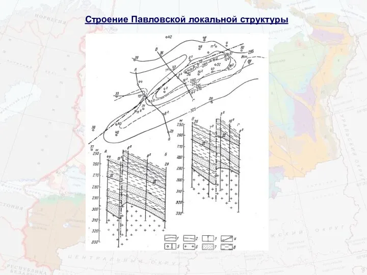 Строение Павловской локальной структуры