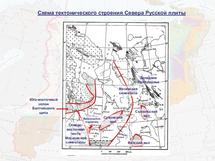 Схема тектонического строения Севера Русской плиты Юго-восточный склон Балтийского щита Северо-восточная