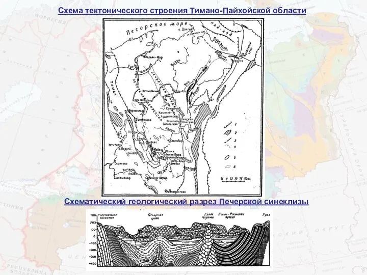 Схематический геологический разрез Печерской синеклизы Схема тектонического строения Тимано-Пайхойской области