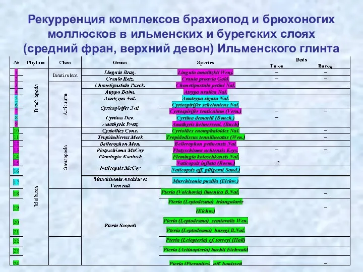 Рекурренция комплексов брахиопод и брюхоногих моллюсков в ильменских и бурегских слоях