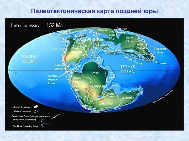 Палеотектоническая карта поздней юры