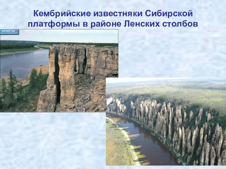 Кембрийские известняки Сибирской платформы в районе Ленских столбов