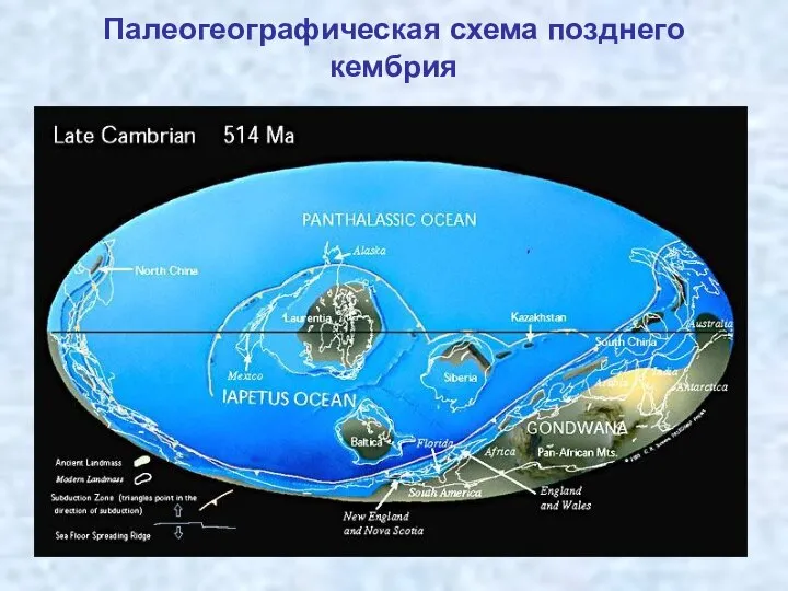 Палеогеографическая схема позднего кембрия