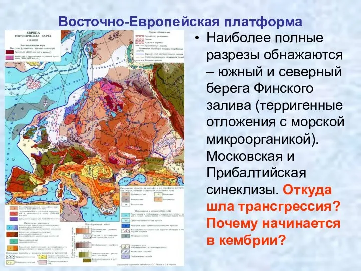 Восточно-Европейская платформа Наиболее полные разрезы обнажаются – южный и северный берега