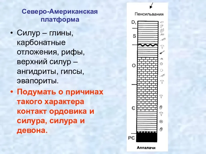 Северо-Американская платформа Силур – глины, карбонатные отложения, рифы, верхний силур –