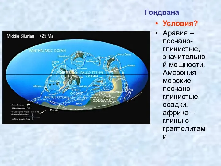 Гондвана Условия? Аравия – песчано-глинистые, значительной мощности, Амазония – морские песчано-глинистые