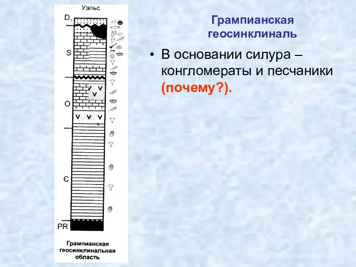 Грампианская геосинклиналь В основании силура – конгломераты и песчаники (почему?).