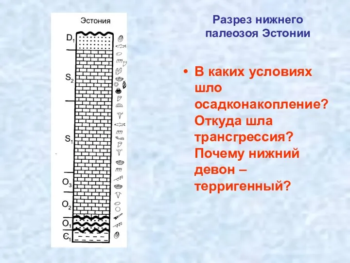 Разрез нижнего палеозоя Эстонии В каких условиях шло осадконакопление? Откуда шла