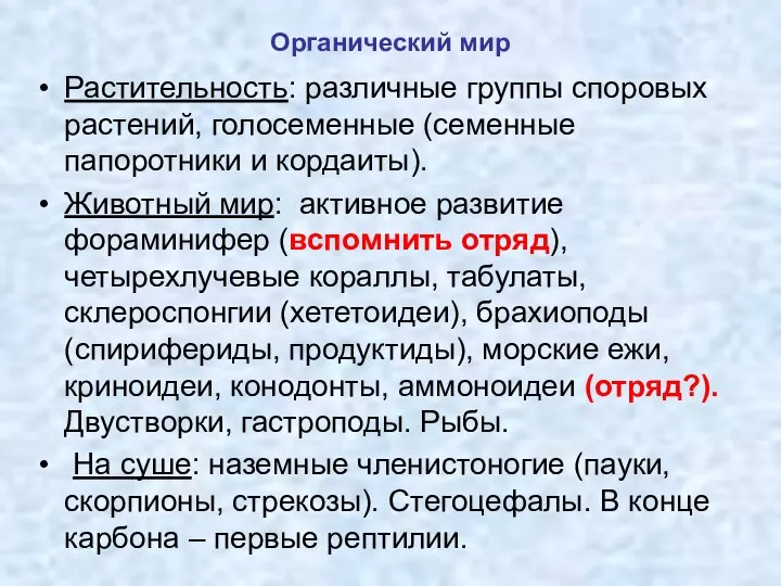 Органический мир Растительность: различные группы споровых растений, голосеменные (семенные папоротники и