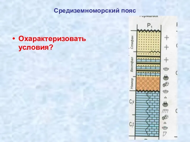 Средиземноморский пояс Охарактеризовать условия?