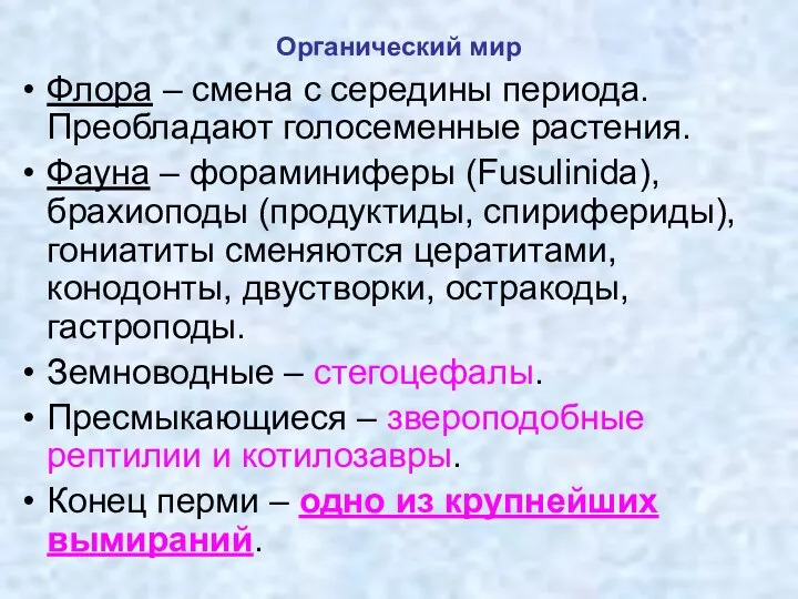 Органический мир Флора – смена с середины периода. Преобладают голосеменные растения.