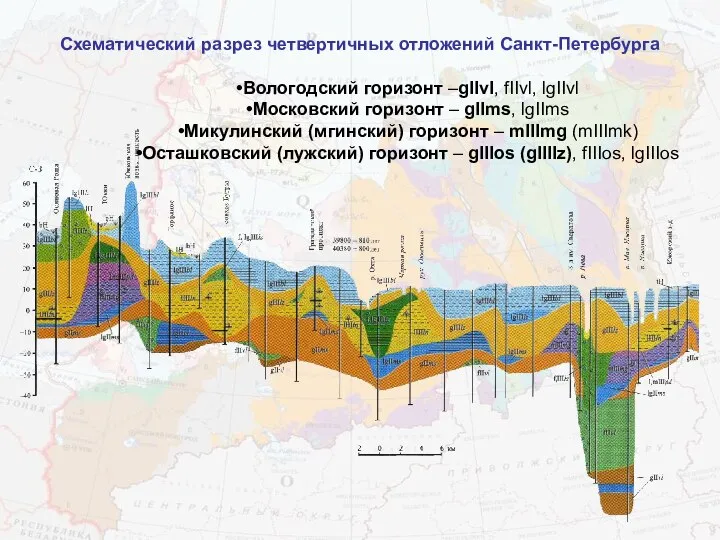 Схематический разрез четвертичных отложений Санкт-Петербурга Вологодский горизонт –gIIvl, fIIvl, lgIIvl Московский