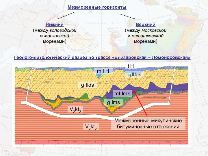 Межморенные горизонты Нижний (между вологодской и московской моренами) Верхний (между московской