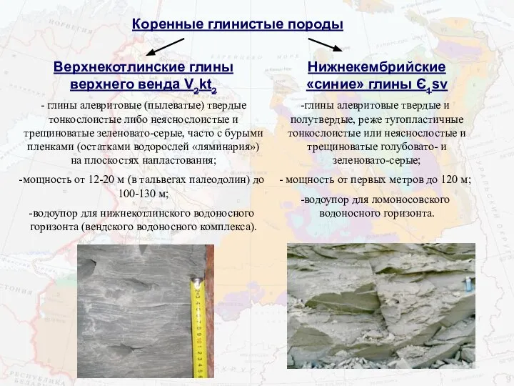 Коренные глинистые породы Верхнекотлинские глины верхнего венда V2kt2 - глины алевритовые