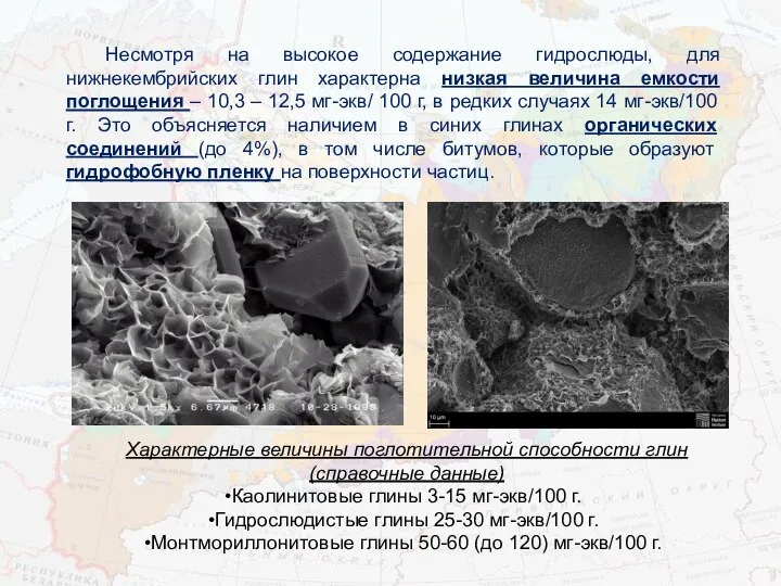 Несмотря на высокое содержание гидрослюды, для нижнекембрийских глин характерна низкая величина