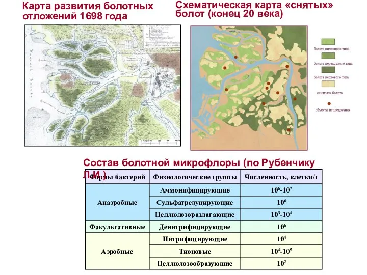 Карта развития болотных отложений 1698 года Схематическая карта «снятых» болот (конец