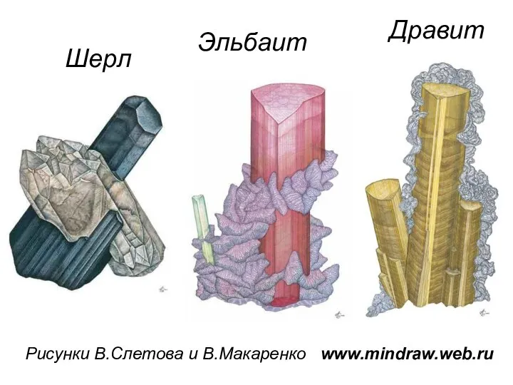 Рисунки В.Слетова и В.Макаренко www.mindraw.web.ru Шерл Эльбаит Дравит