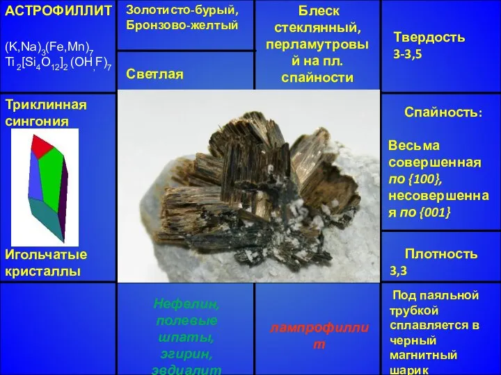 АСТРОФИЛЛИТ (K,Na)3(Fe,Mn)7 Ti 2[Si4O12]2 (OH,F)7 Триклинная сингония Игольчатые кристаллы Блеск стеклянный,