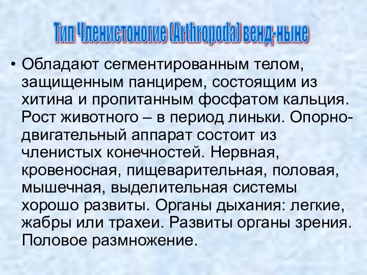 Обладают сегментированным телом, защищенным панцирем, состоящим из хитина и пропитанным фосфатом